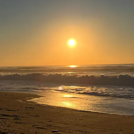 Casa vacanze Charming Rustic Wine Cellar House In With Fireplace