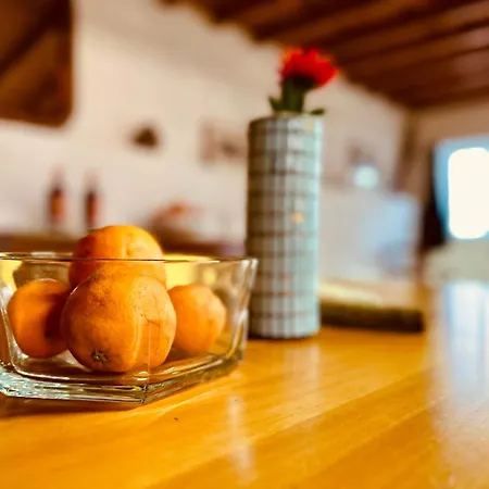 Charming Rustic Wine Cellar House In With Fireplace Casa vacanze *