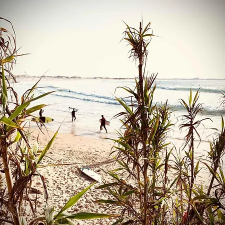 Charming Rustic Wine Cellar House In With Fireplace Casa vacanze Reguengo Grande