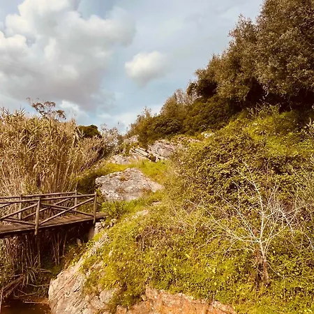 Charming Rustic Wine Cellar House In With Fireplace Casa vacanze Reguengo Grande