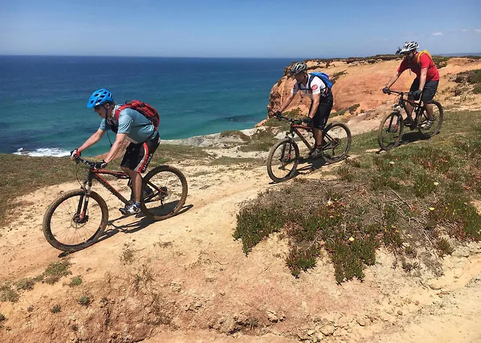 Charming Rustic Wine Cellar House In With Fireplace Hébergement de vacances *