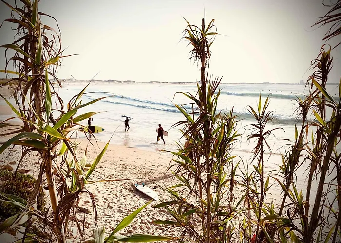 Charming Rustic Wine Cellar House In With Fireplace Hébergement de vacances Reguengo Grande