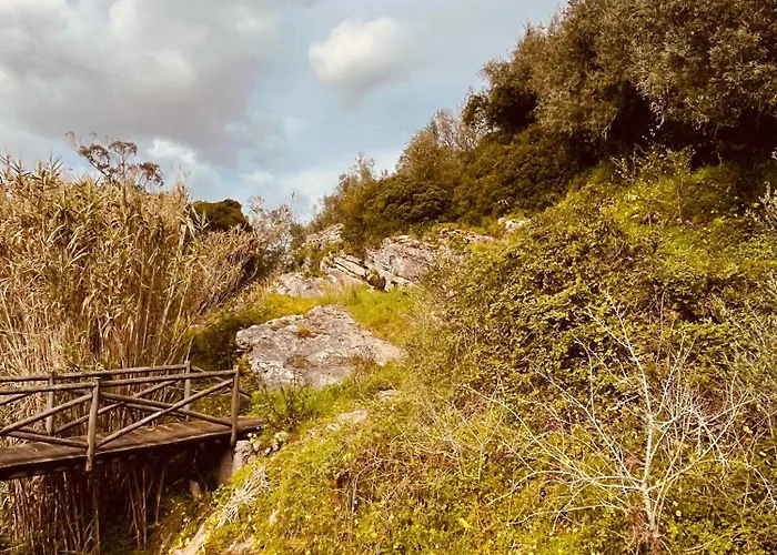Charming Rustic Wine Cellar House In With Fireplace Hébergement de vacances Reguengo Grande